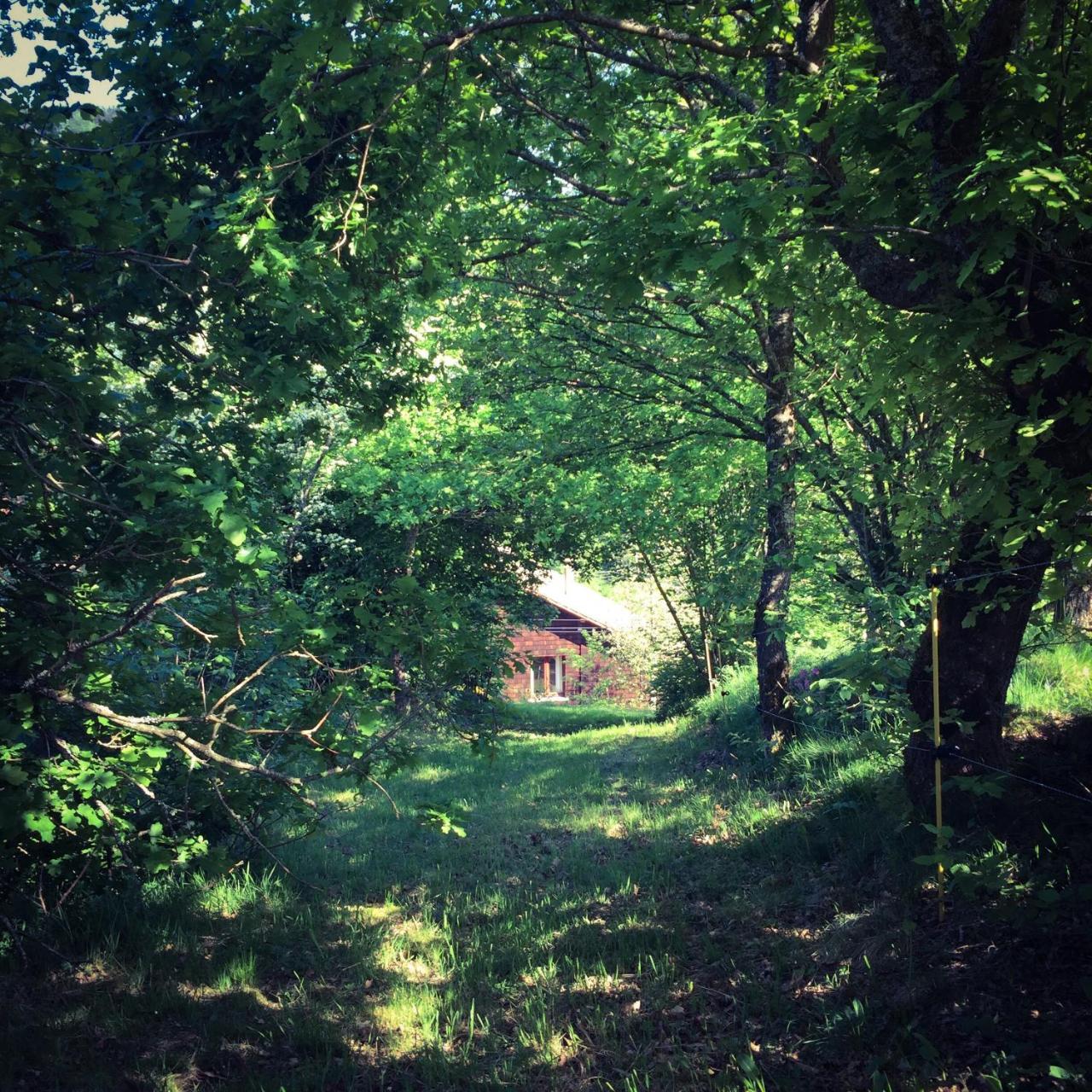 Silver Trees - Glamping Fresse-sur-Moselle Exterior photo